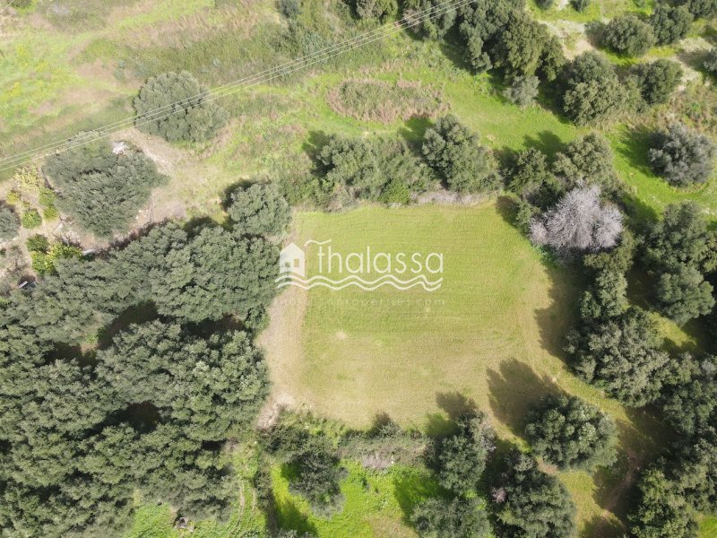 Land in Central Tzoumerka, Epirus and Western Macedonia, Greece 1 - 17268226