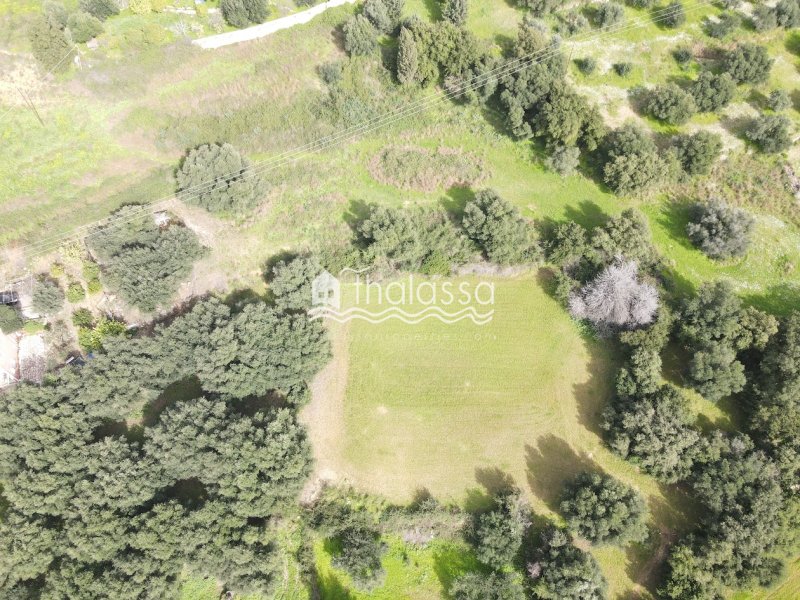 Land in Central Tzoumerka, Epirus and Western Macedonia, Greece 2 - 17268226