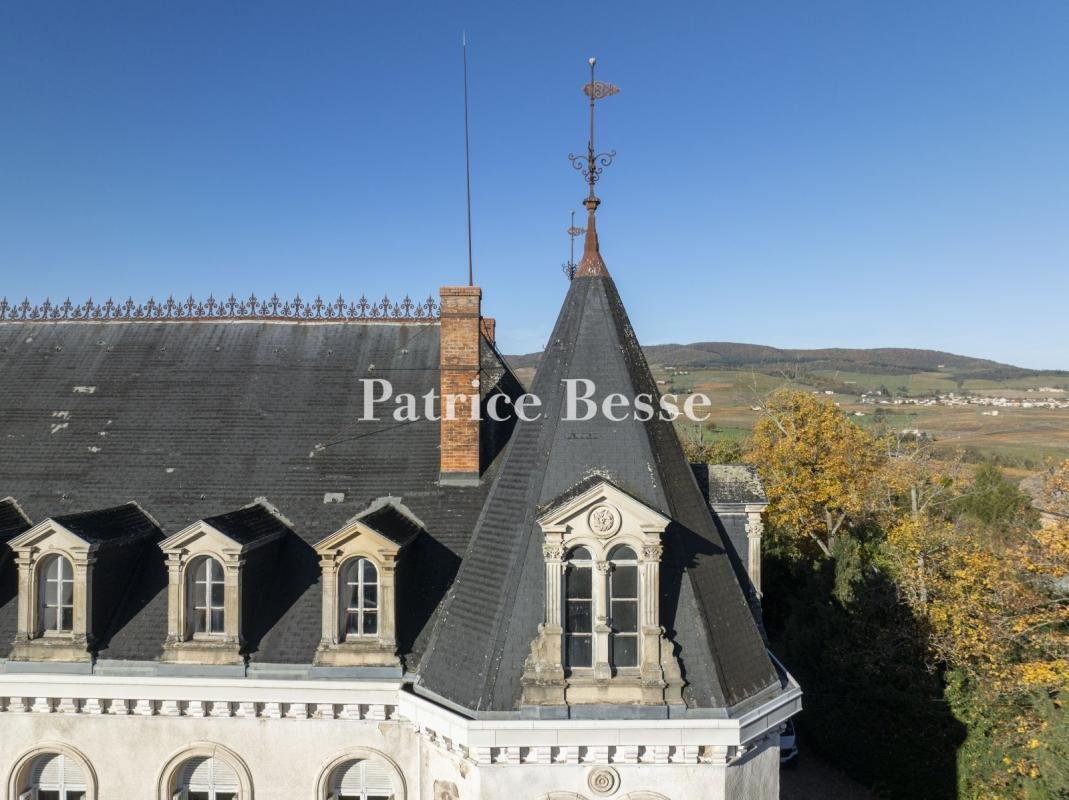 Castle in Villefranche-sur-Saone, Auvergne-Rhône-Alpes, France 4 - 17272399