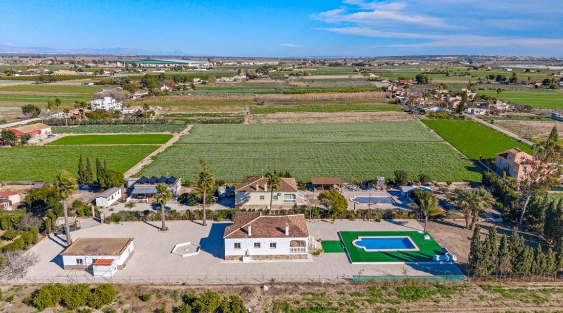 Country House in Dolores, Valencian Community, Spain 5 - 17271644