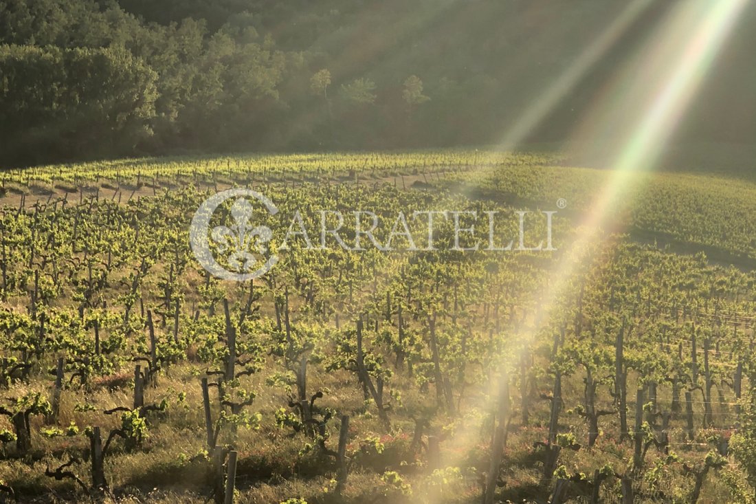 Country House in Center, Orvieto, Umbria 5 - 17268190