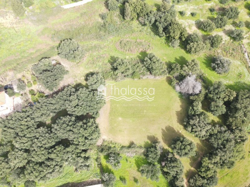 Land in Central Tzoumerka, Epirus and Western Macedonia, Greece 4 - 17268226
