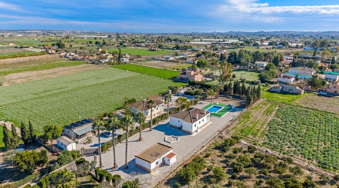 Country House in Dolores, Valencian Community, Spain 4 - 17271644