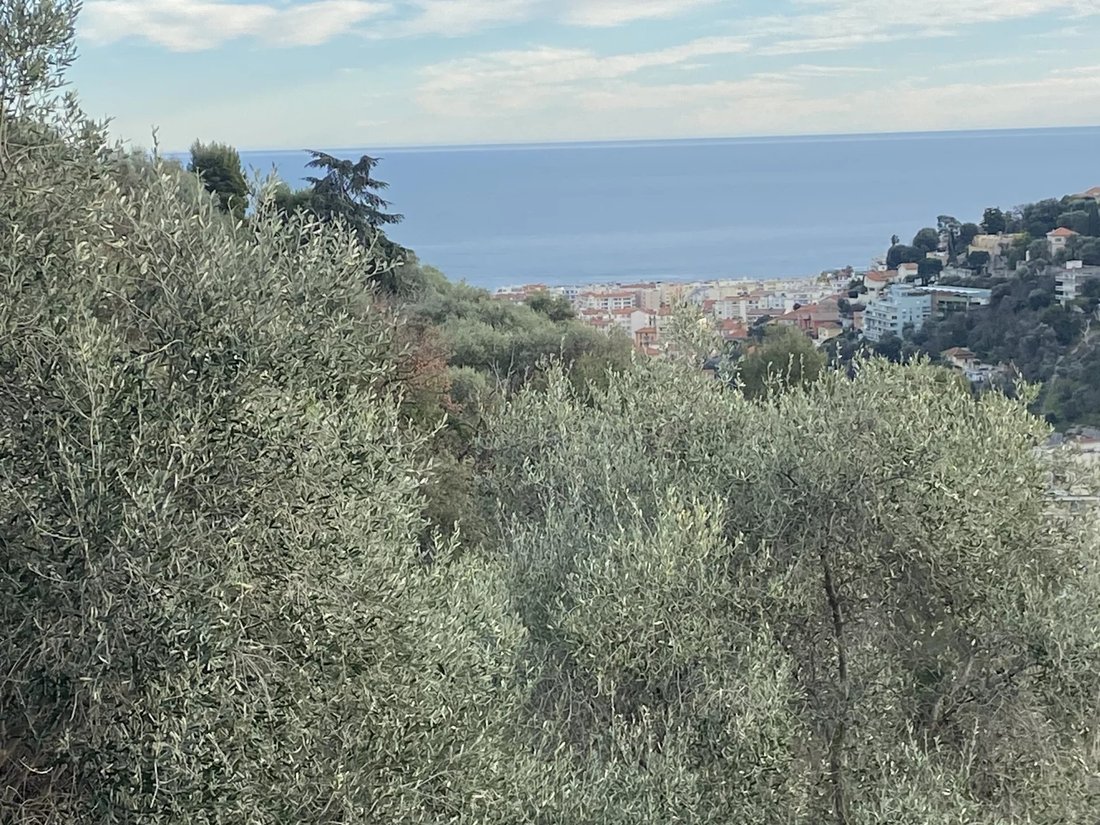 Villa in Nice, Provence-Alpes-Côte d'Azur, France 1 - 17274834