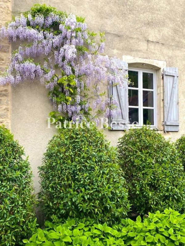 House in Vignes Rouges-Verottes, Beaune, France 2 - 17272388