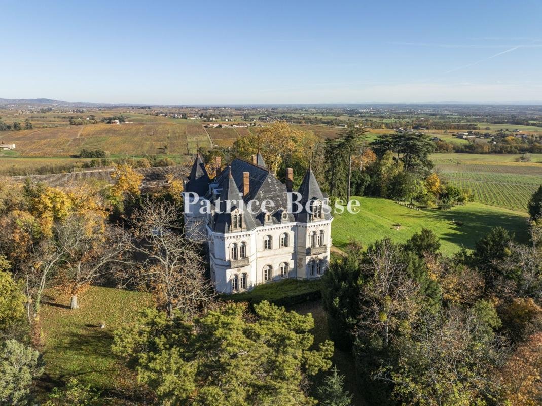 Castle in Villefranche-sur-Saone, Auvergne-Rhône-Alpes, France 2 - 17272399