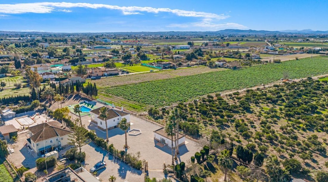 Country House in Dolores, Valencian Community, Spain 3 - 17271644