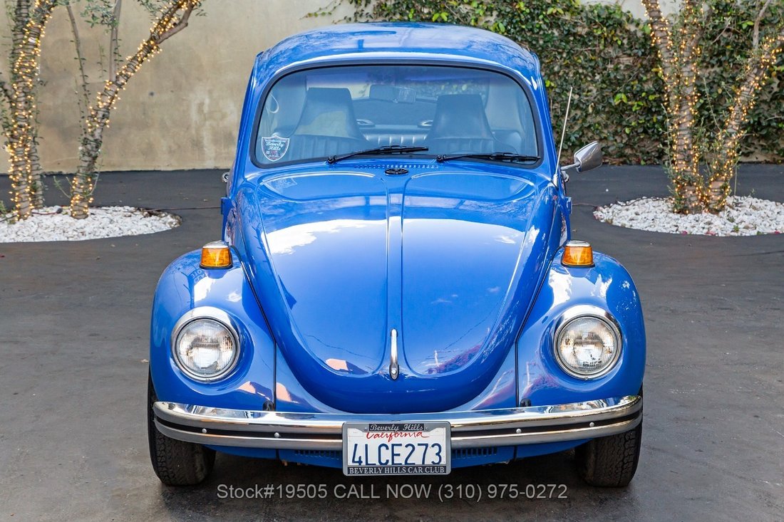 Volkswagen Super Beetle in Los Angeles, CA 2 - 17268616
