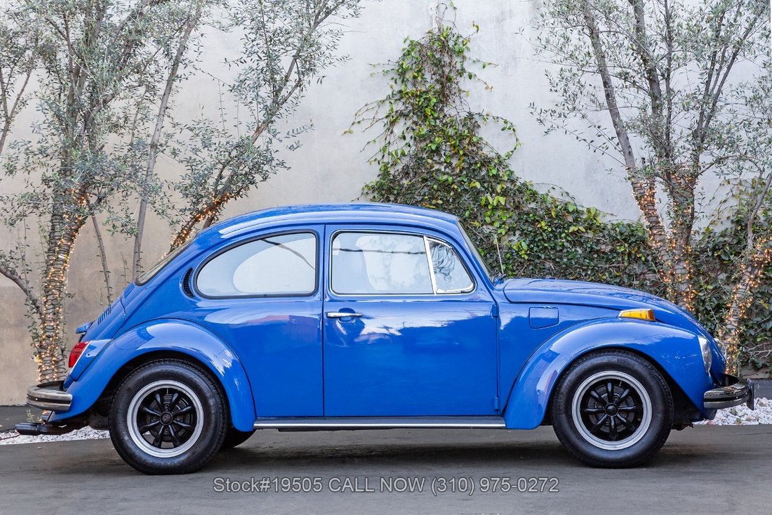 Volkswagen Super Beetle in Los Angeles, CA 4 - 17268616
