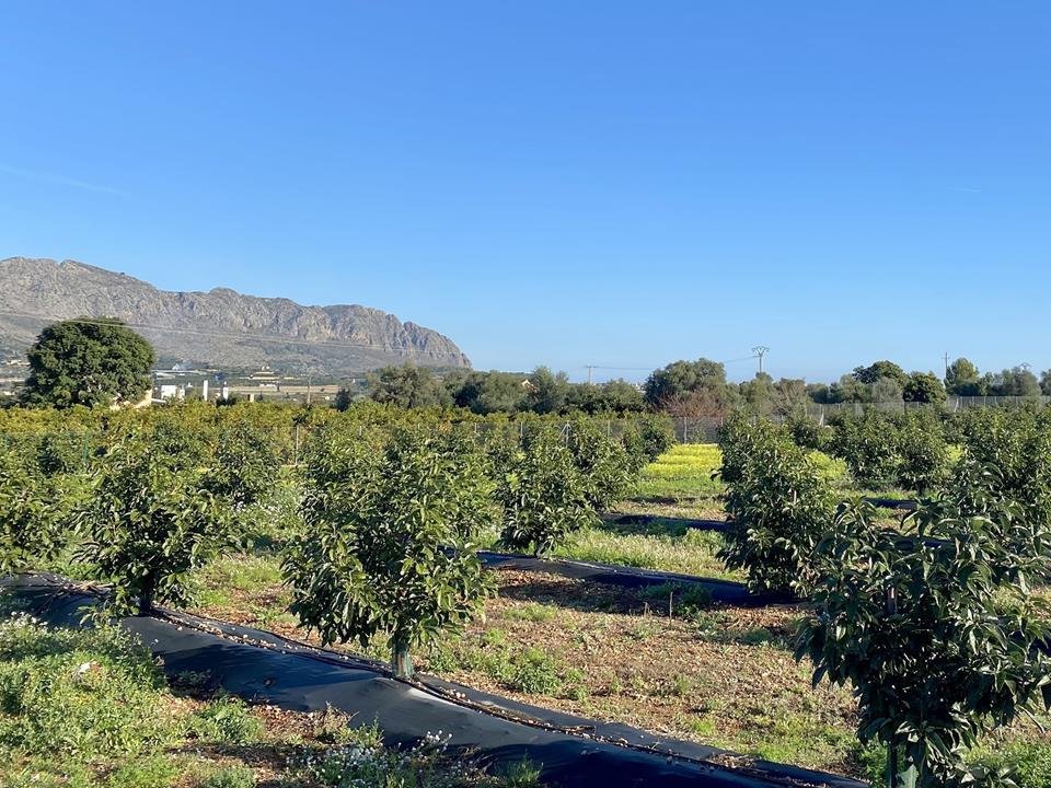 Villa in Benidoleig, Valencian Community, Spain 4 - 17280069