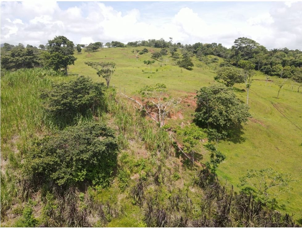 Land in La Chorrera, Panama, Panama 3 - 17253232