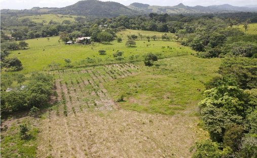 Terrain à La Chorrera, Panama, Panama 1