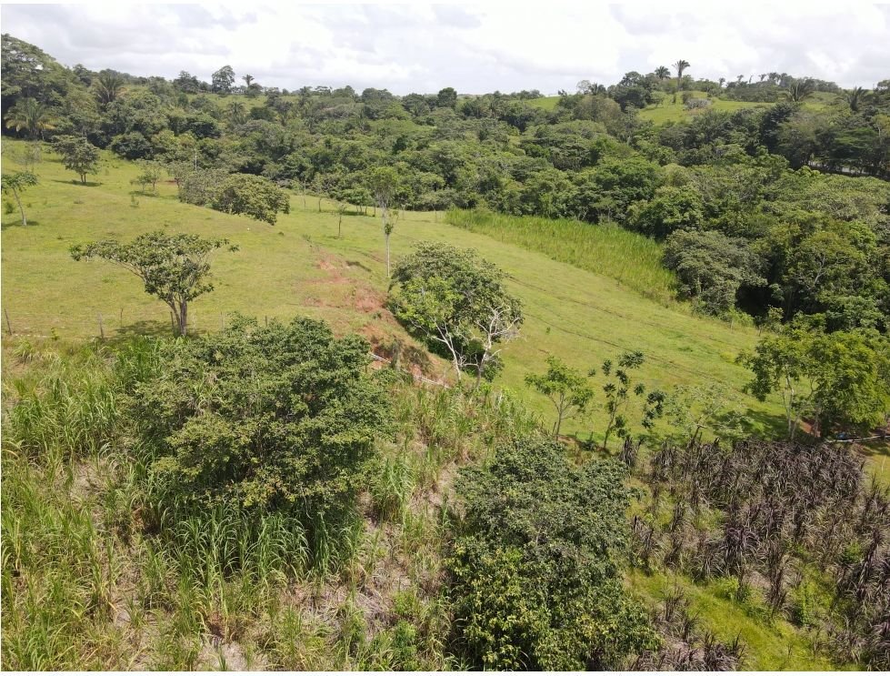 Land in La Chorrera, Panama, Panama 4 - 17253232