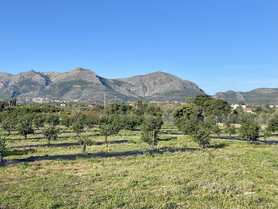 Villa in Benidoleig, Valencian Community, Spain 3 - 17280069