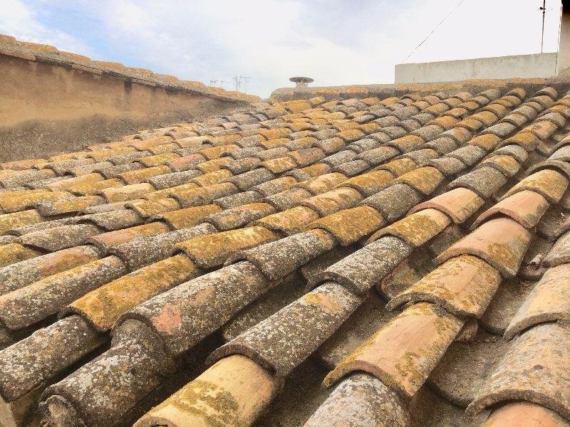 Land in Massamagrell, Valencian Community, Spain 5 - 13111385