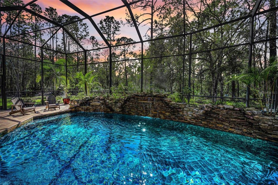 House in Trinity, Florida, United States 3 - 17273207