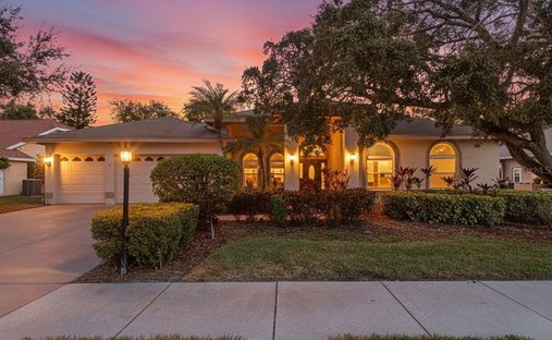 House in Dunedin, Florida, United States 1