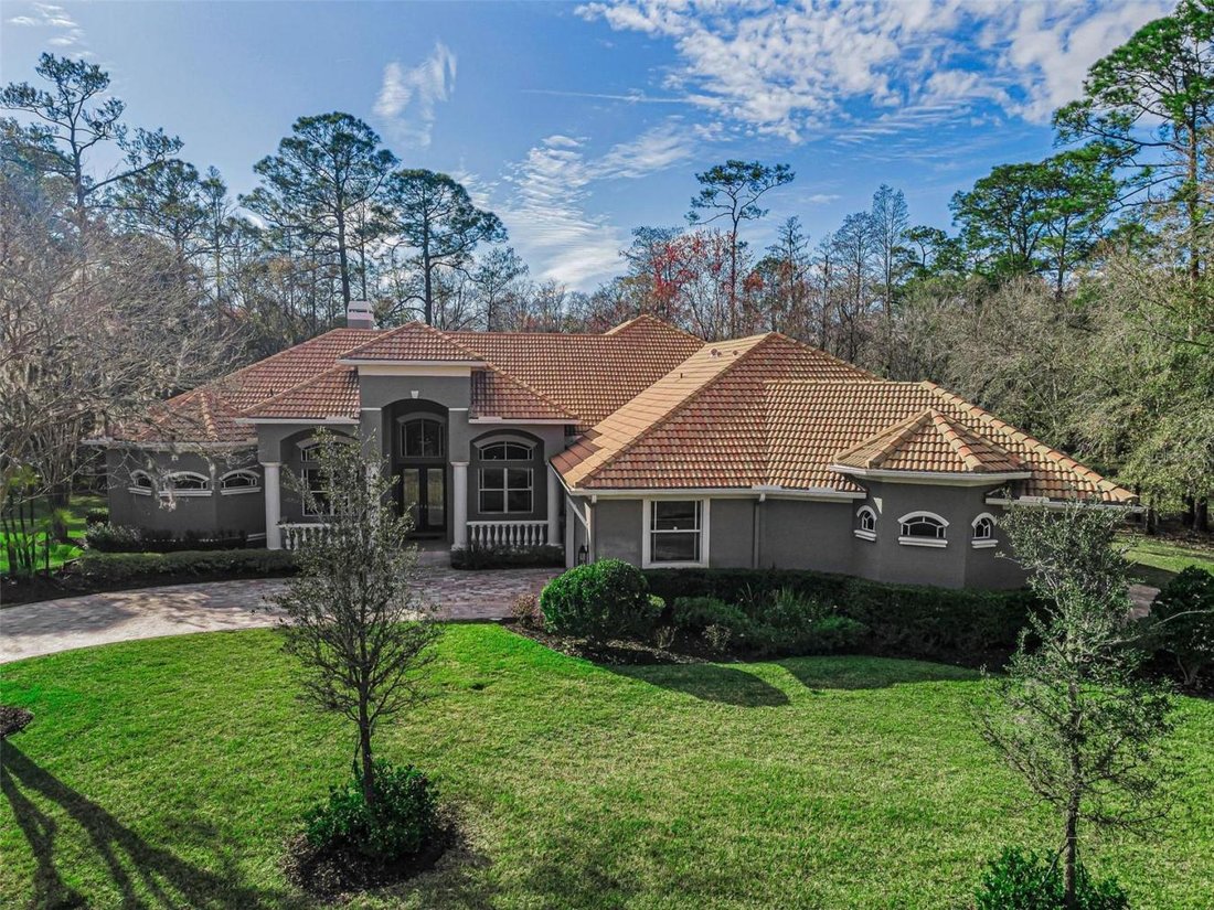House in Trinity, Florida, United States 1 - 17273207
