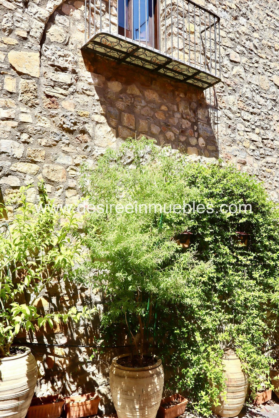 Sueras / Suera, Valencian Community, Spain 1 - 14711189