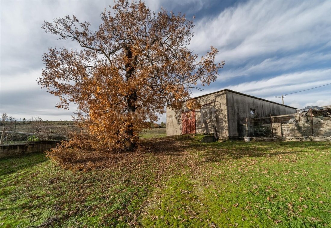 Farm Ranch in Vela, Guarda District, Portugal 4 - 17273225