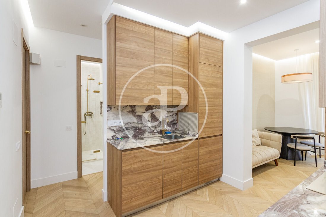 Apartment in Chamberi, Madrid, Spain 5 - 17273144