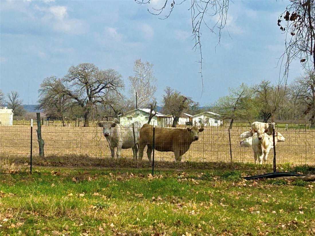House in Austin, Texas, United States 5 - 17275662
