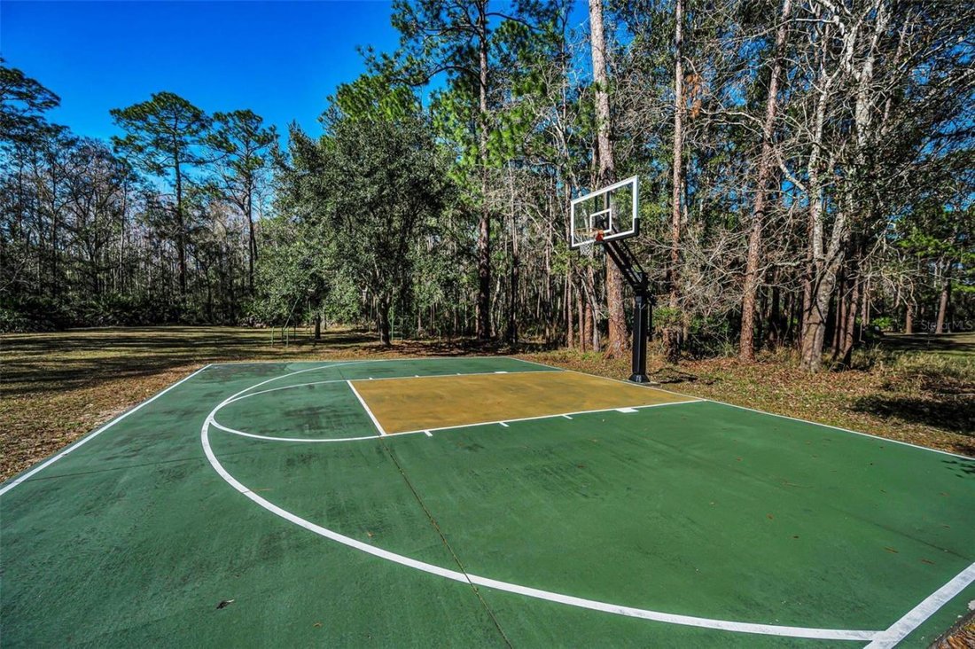 House in Trinity, Florida, United States 4 - 17273207