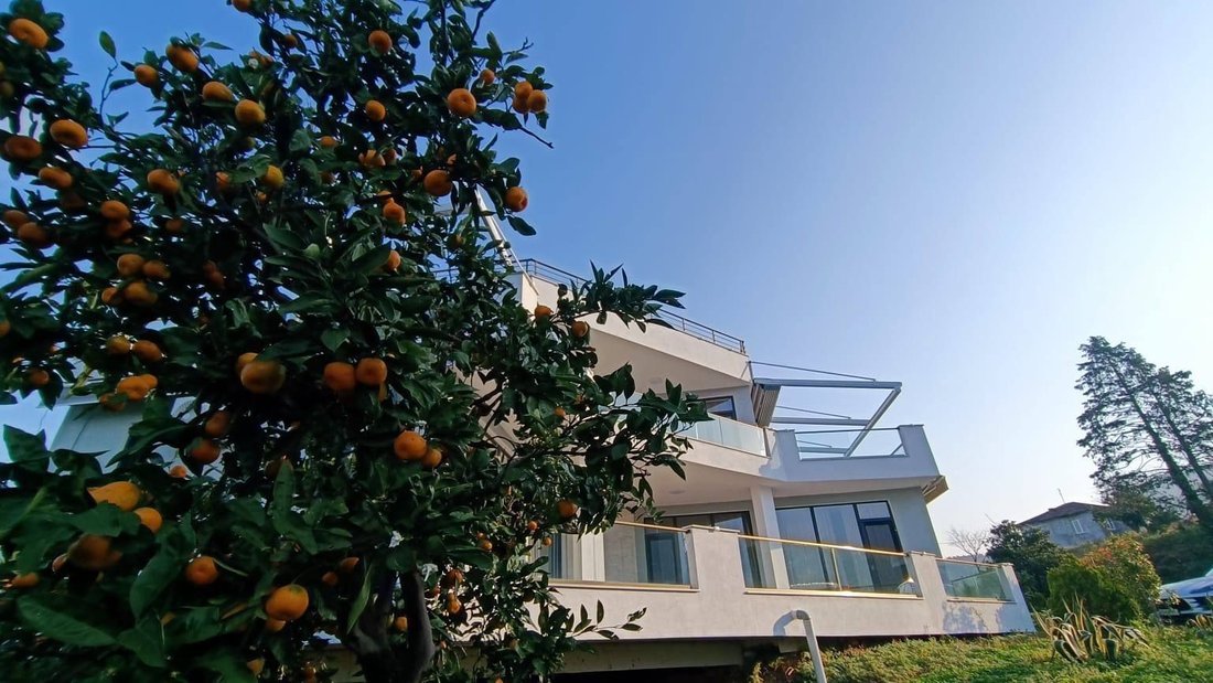 Villa in Batumi, Adjara, Georgia 4 - 17280293