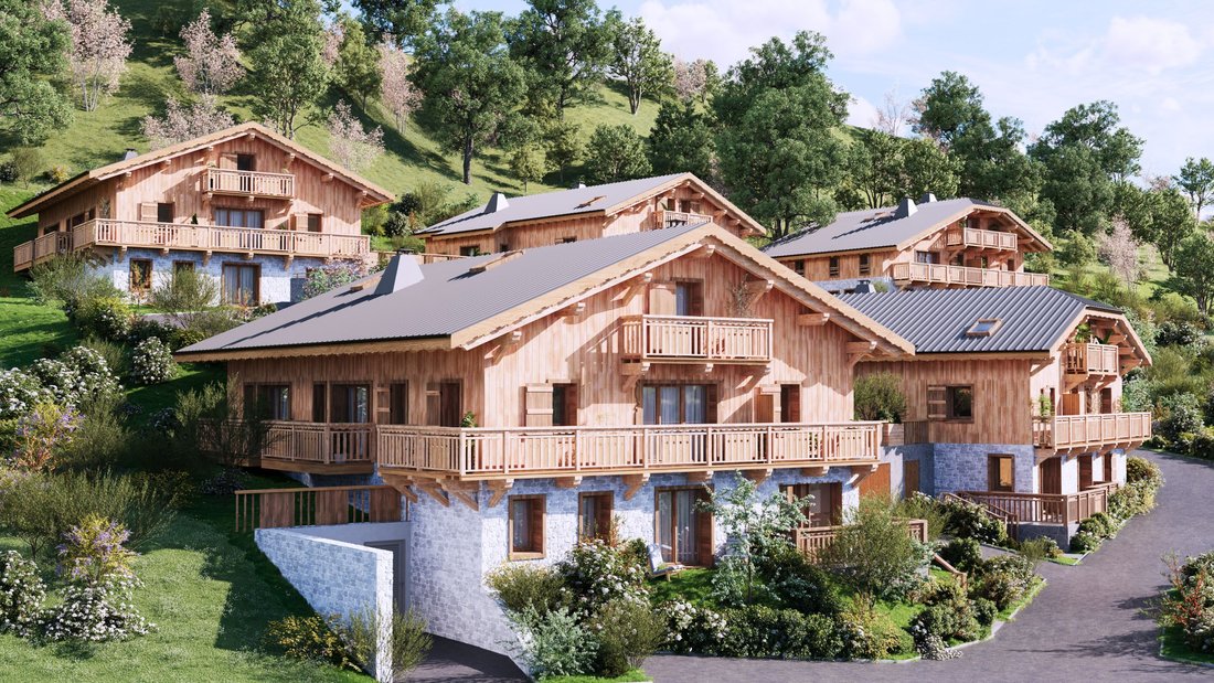 Chalet in Samoens, Auvergne-Rhône-Alpes, France 3 - 17281344