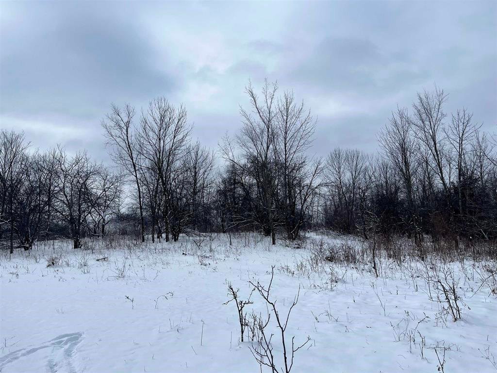 Land in Muscoda, Wisconsin, United States 1 - 17281339