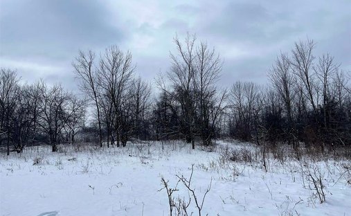 Land in Muscoda, Wisconsin, United States 1