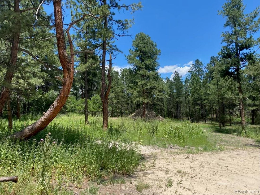 Casa en Larkspur, Colorado, Estados Unidos 2 - 17281942