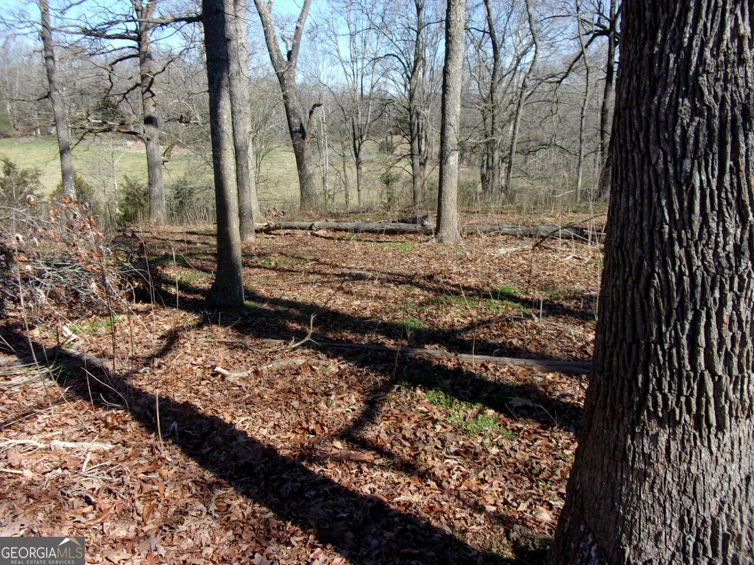 Farm Ranch in Danielsville, Georgia, United States 5 - 17282877