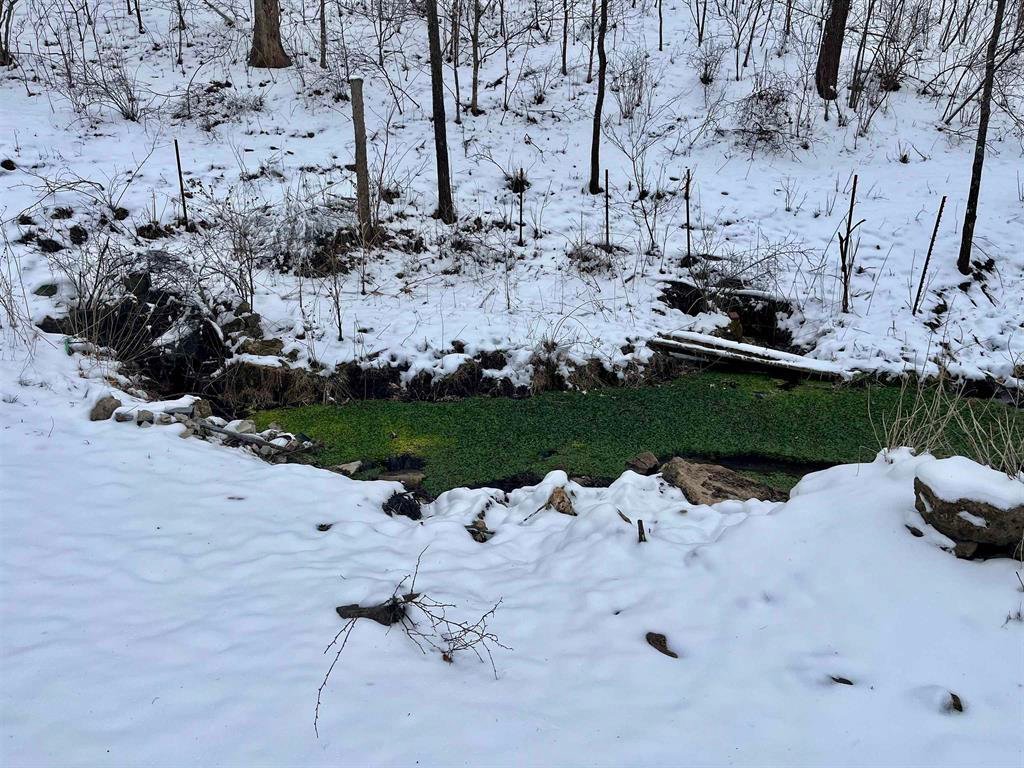 Land in Muscoda, Wisconsin, United States 3 - 17281339