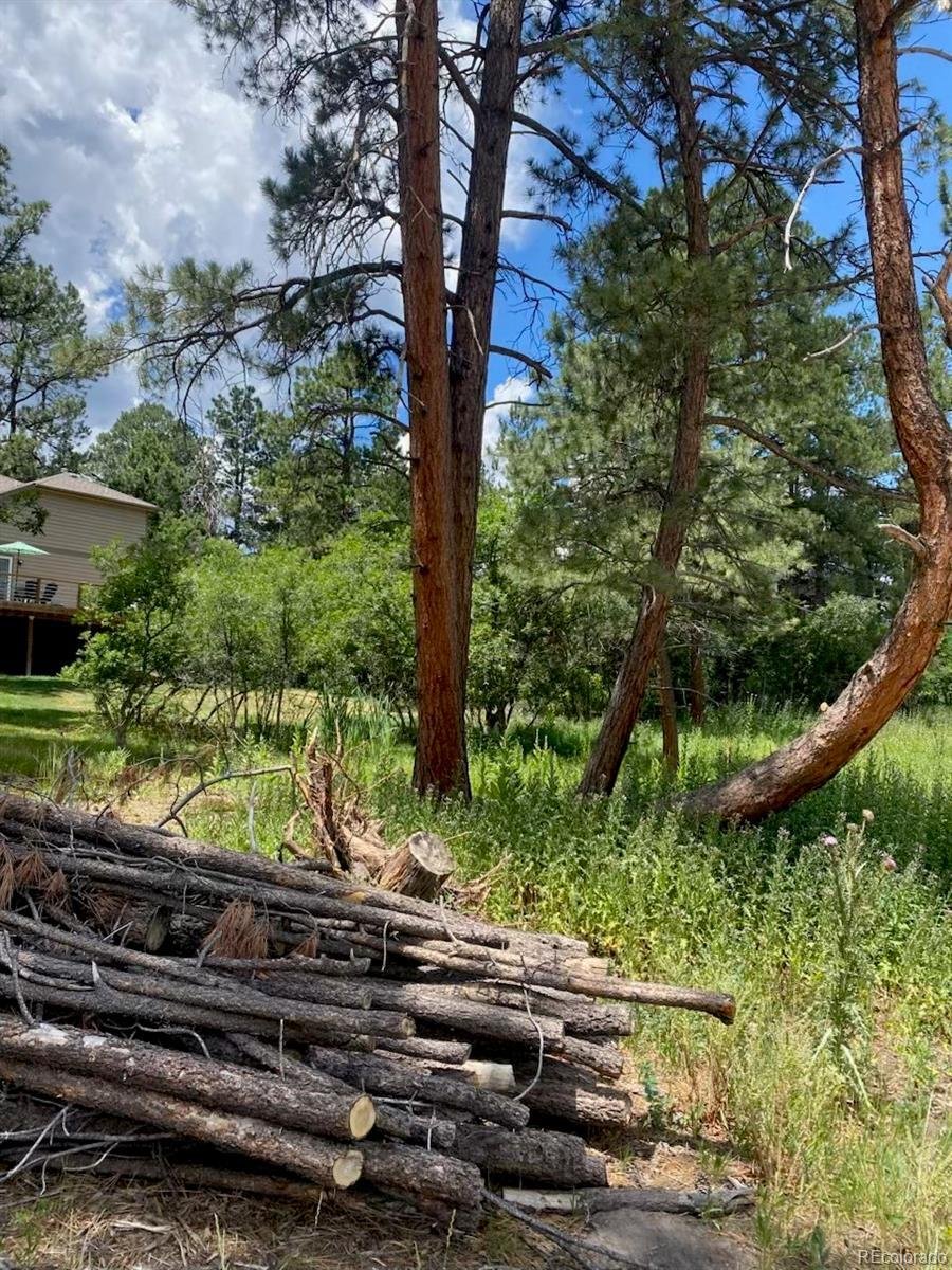 Casa en Larkspur, Colorado, Estados Unidos 5 - 17281942
