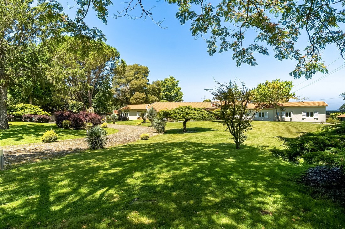 House in Fornelo e Vairao, Porto District, Portugal 3 - 17284356