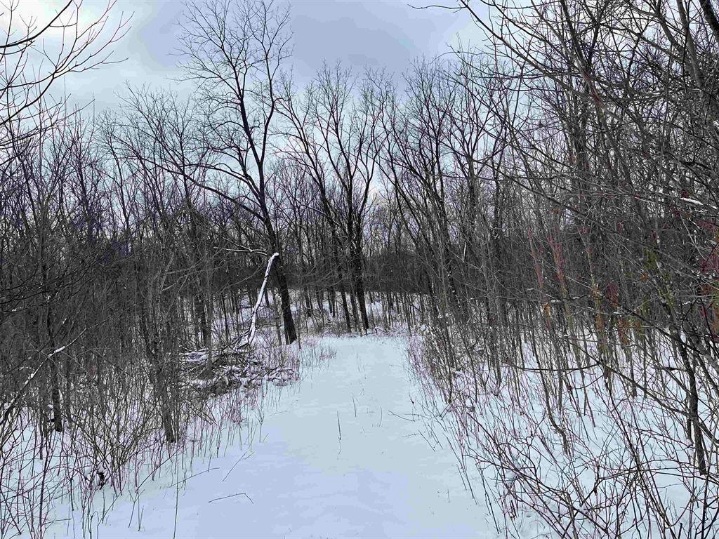 Land in Muscoda, Wisconsin, United States 5 - 17281339