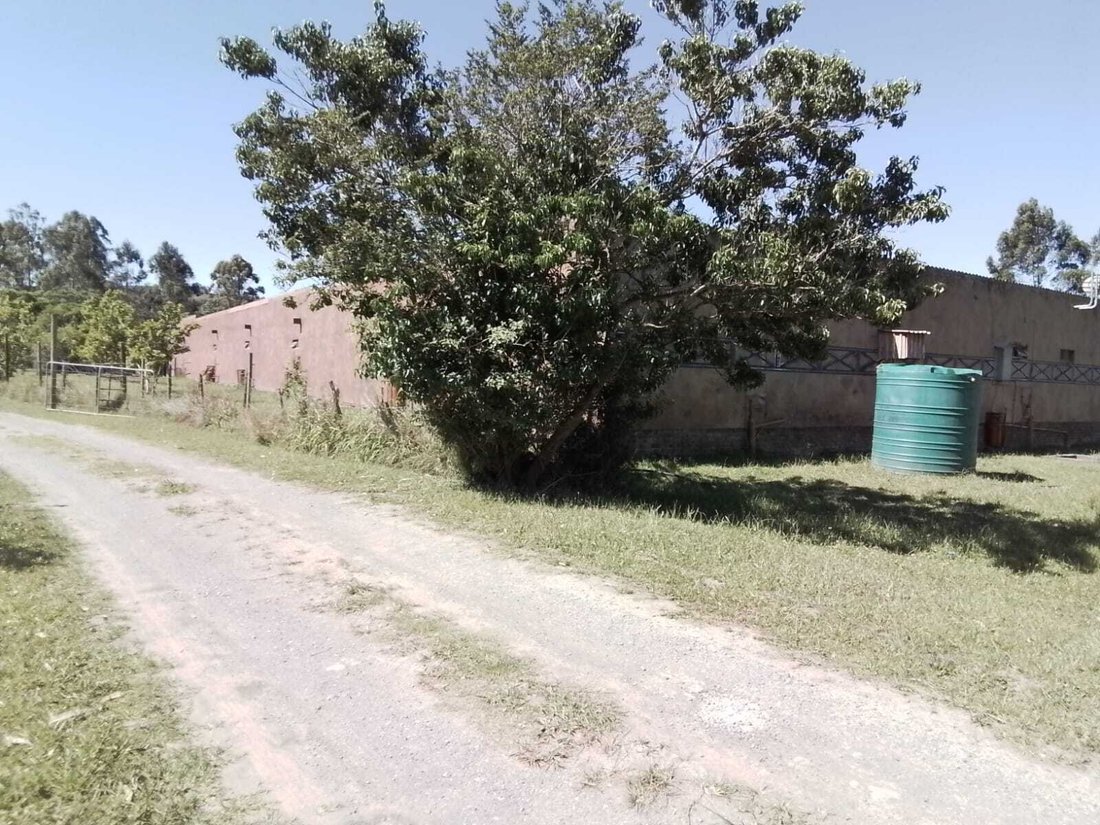 Farm Ranch in West Bank Village, Eastern Cape, South Africa 4 - 17283893