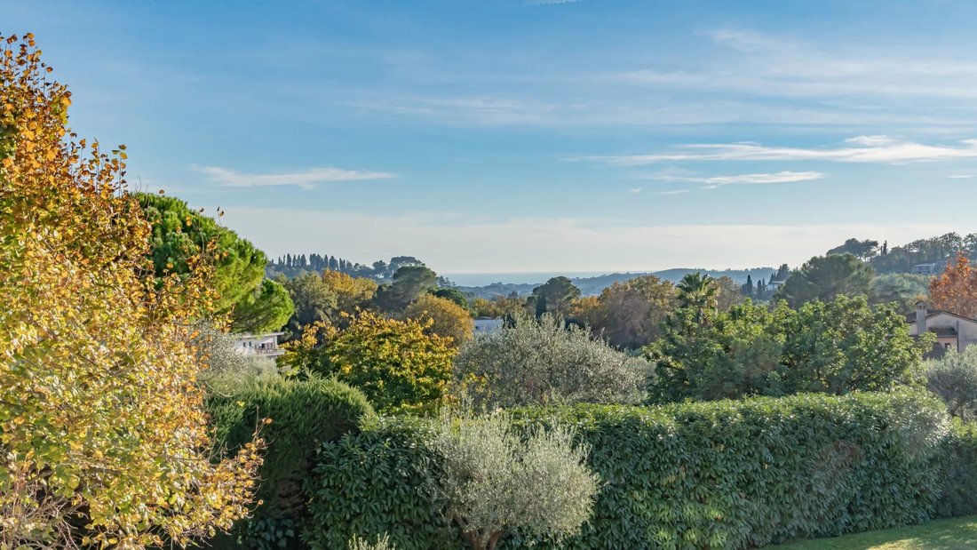 Estate in Mougins, Provence-Alpes-Côte d'Azur, France 4 - 17281273