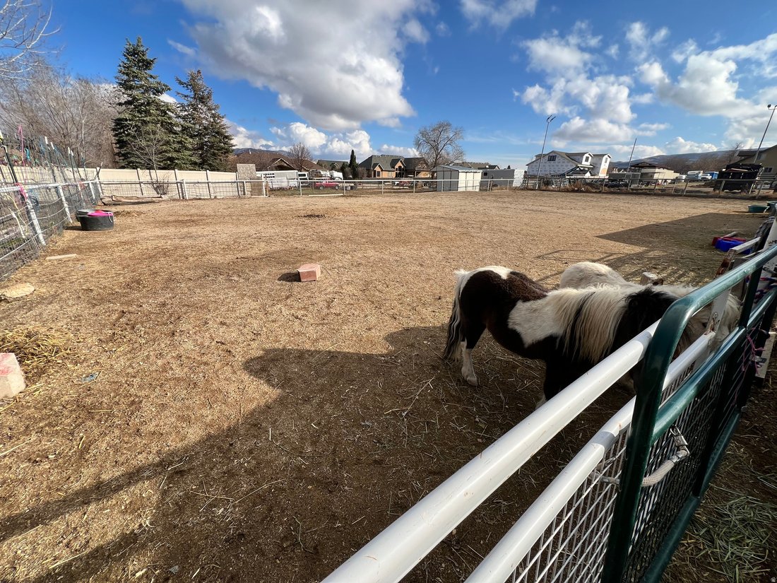 House in Riverton, Utah, United States 4 - 17282194