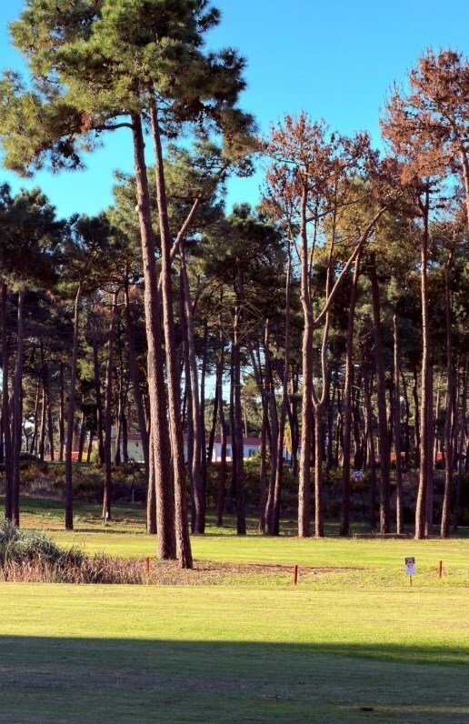 House in Herdade Da Aroeira, Charneca de Caparica e Sobreda, Setubal 4 - 17283562