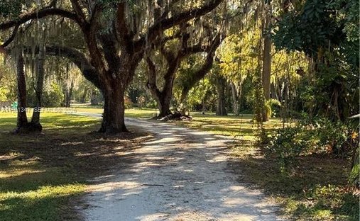 House in Fort Myers, Florida, United States 1