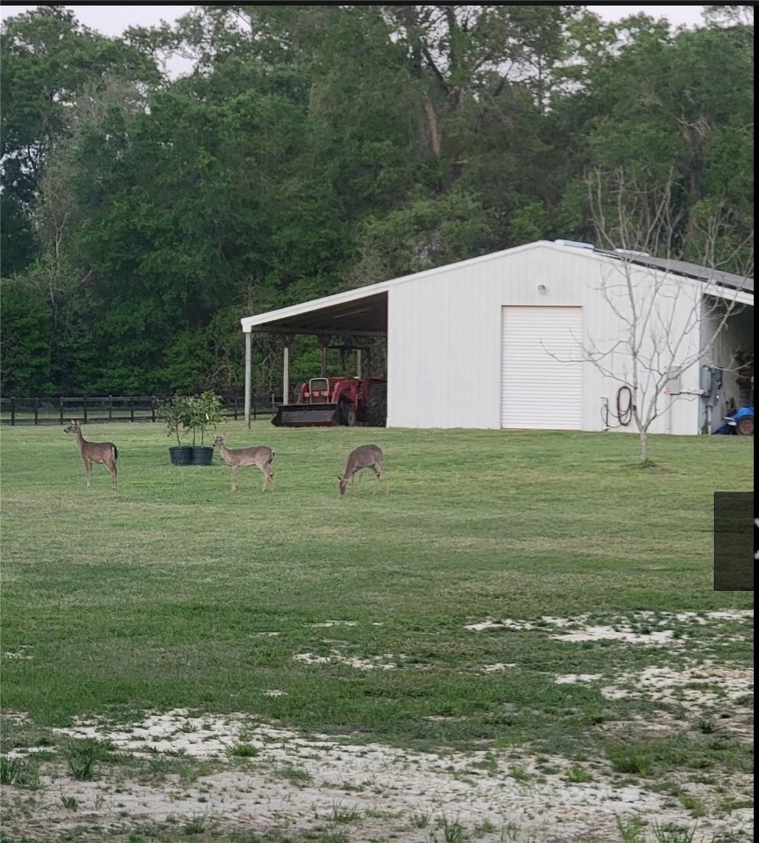 House in Lumberton, Texas, United States 3 - 17283147