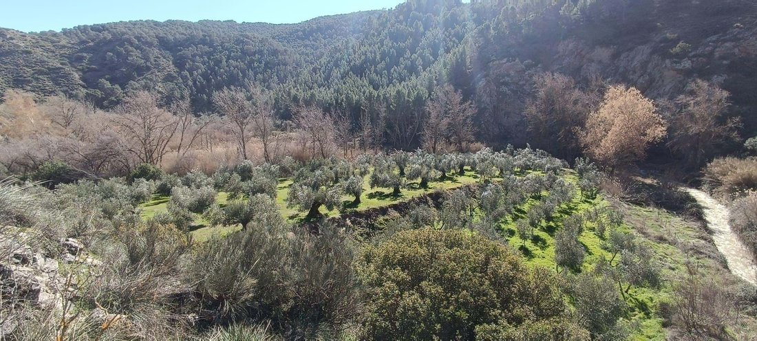 Land in Cambil, Andalusia, Spain 2 - 17283345