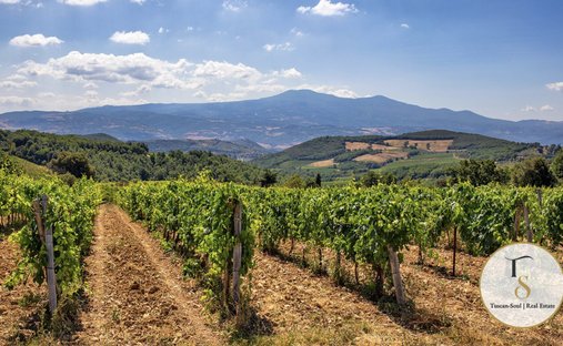 Casa di campagna a Montalcino, Toscana, Italia 1