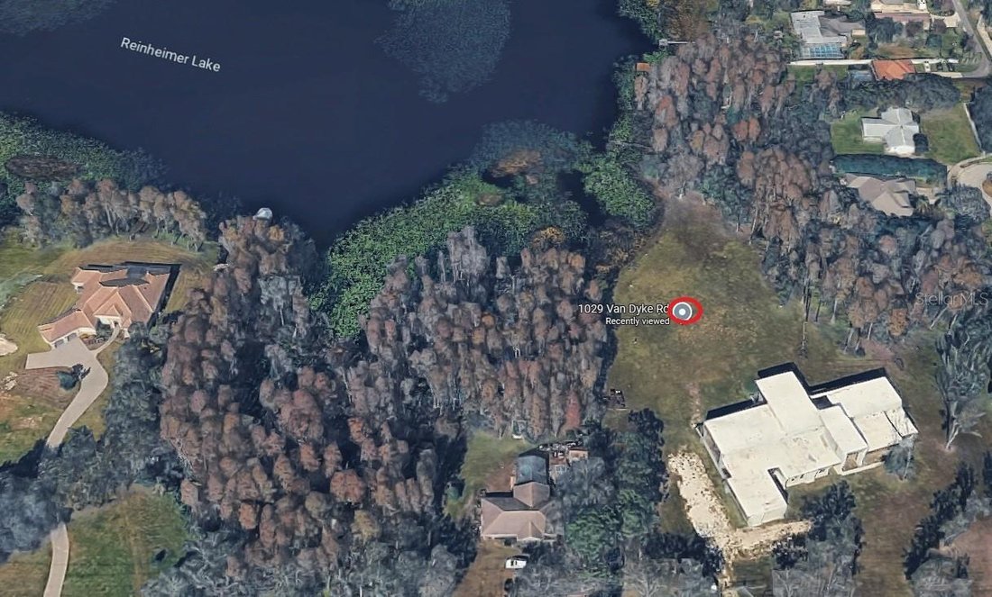 House in Lutz, Florida, United States 3 - 17282486