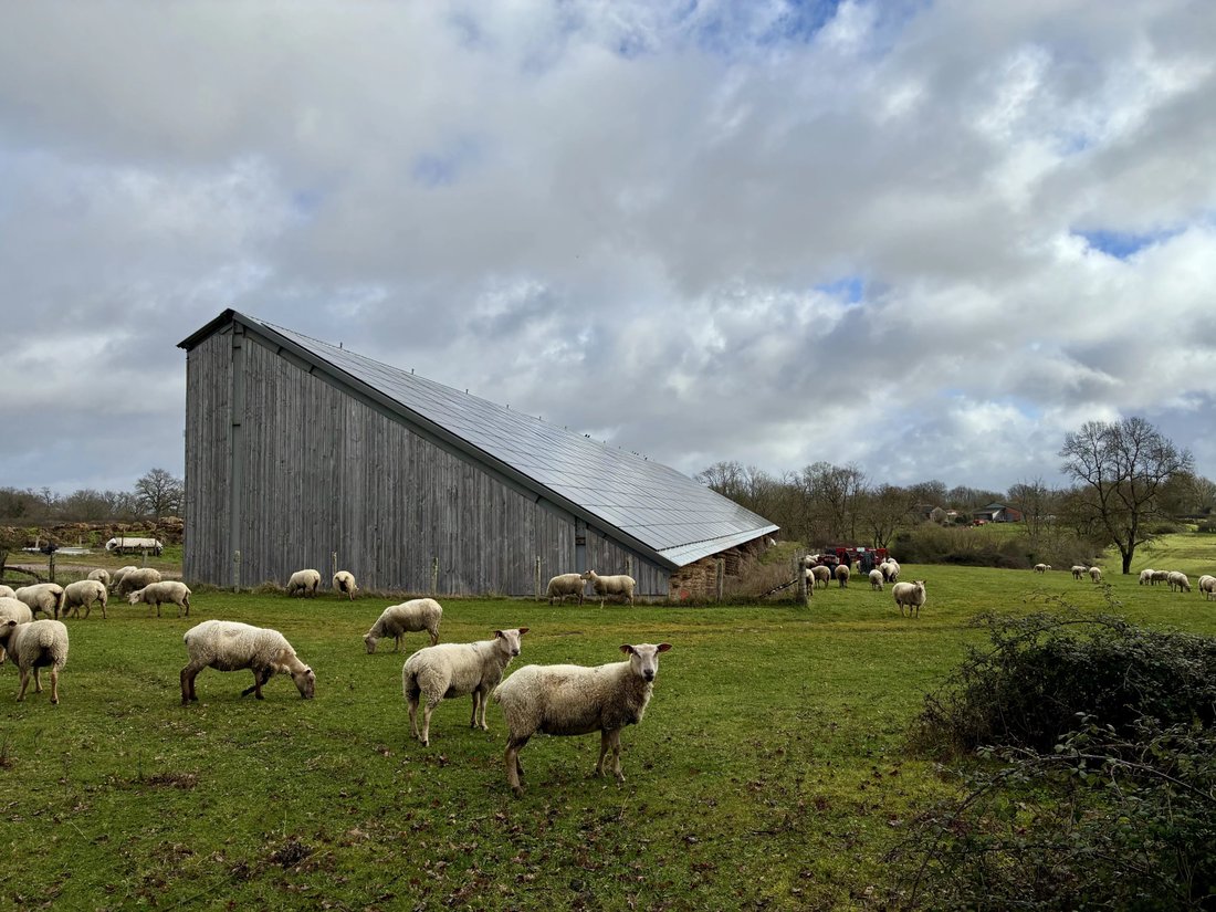 Corps de ferme à Availles-Limouzine, Nouvelle-Aquitaine, France 4 - 17283340