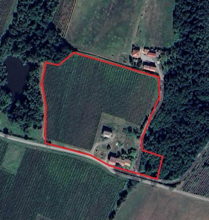 Andere in Vigolzone, Emilia-Romagna, Italien 3 - 17243189