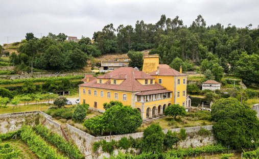 Azienda agricola a Marco, Oporto, Portogallo 1