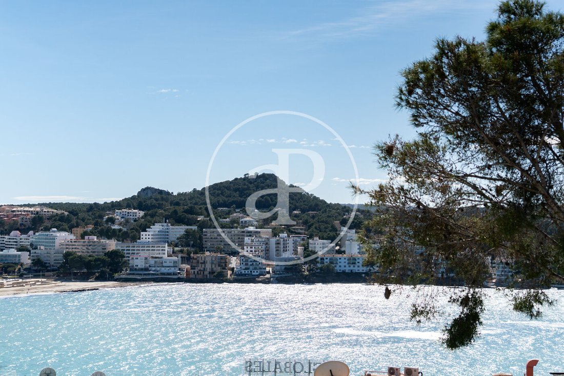 Villa in Rotes Velles, Calvia, Balearic Islands 2 - 16705623